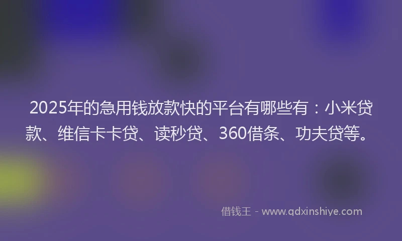 2025年的急用钱放款快的平台有哪些有：小米贷款、维信卡卡贷、读秒贷、360借条、功夫贷等。