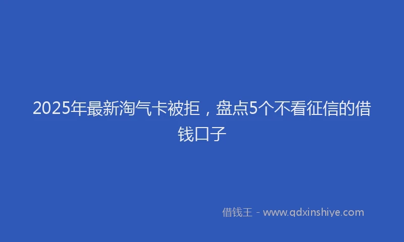 2025年最新淘气卡被拒，盘点5个不看征信的借钱口子