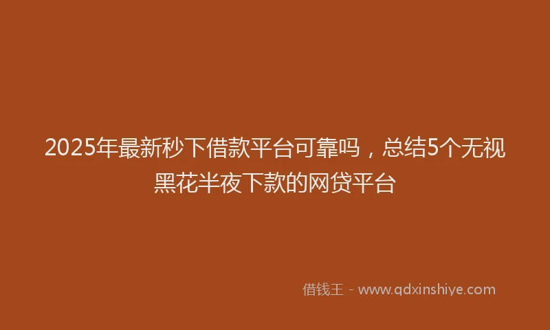 2025年最新秒下借款平台可靠吗，总结5个无视黑花半夜下款的网贷平台