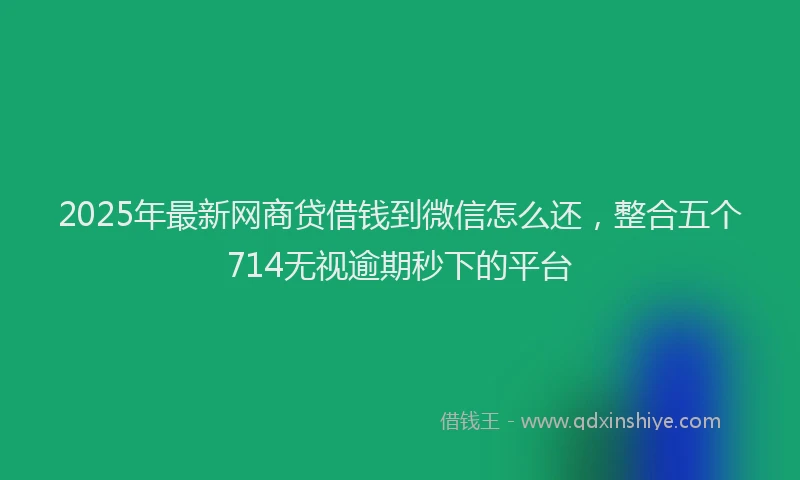 2025年最新网商贷借钱到微信怎么还，整合五个714无视逾期秒下的平台
