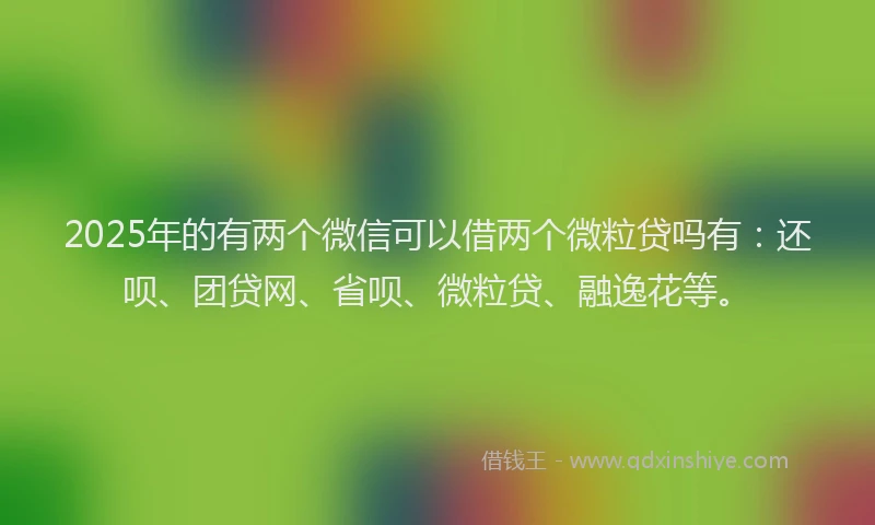 2025年的有两个微信可以借两个微粒贷吗有：还呗、团贷网、省呗、微粒贷、融逸花等。