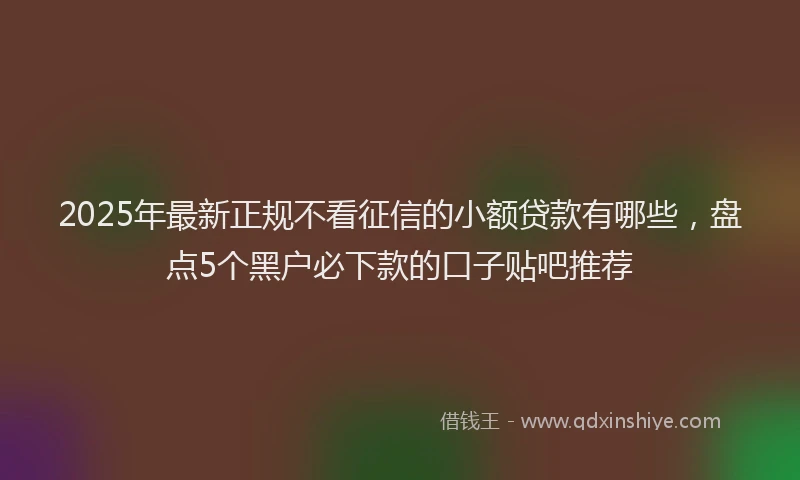 2025年最新正规不看征信的小额贷款有哪些，盘点5个黑户必下款的口子贴吧推荐