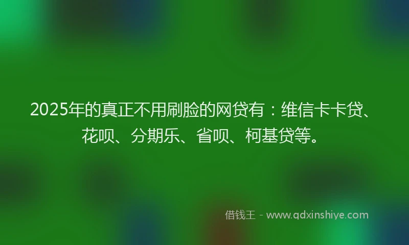 2025年的真正不用刷脸的网贷有：维信卡卡贷、花呗、分期乐、省呗、柯基贷等。