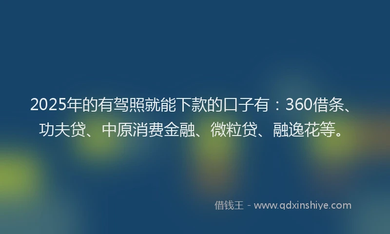 2025年的有驾照就能下款的口子有：360借条、功夫贷、中原消费金融、微粒贷、融逸花等。