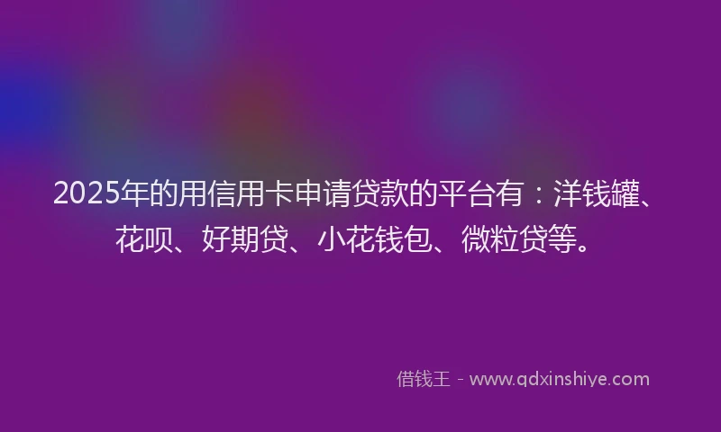 2025年的用信用卡申请贷款的平台有：洋钱罐、花呗、好期贷、小花钱包、微粒贷等。