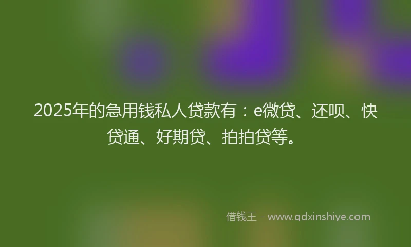 2025年的急用钱私人贷款有：e微贷、还呗、快贷通、好期贷、拍拍贷等。