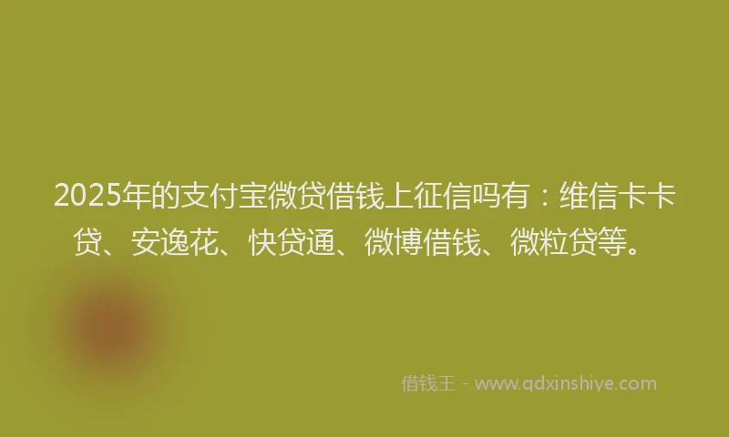 2025年的支付宝微贷借钱上征信吗有：维信卡卡贷、安逸花、快贷通、微博借钱、微粒贷等。