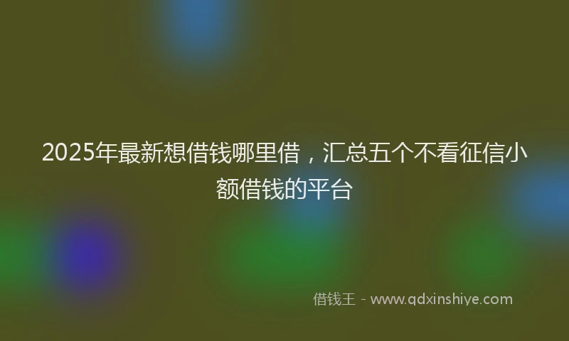 2025年最新想借钱哪里借，汇总五个不看征信小额借钱的平台