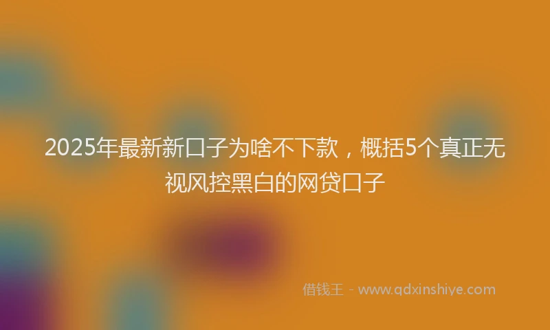 2025年最新新口子为啥不下款，概括5个真正无视风控黑白的网贷口子