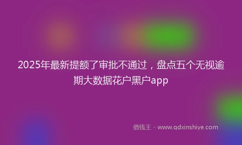 2025年最新提额了审批不通过，盘点五个无视逾期大数据花户黑户app