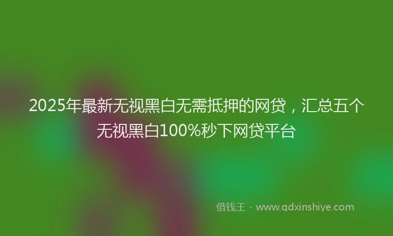 2025年最新无视黑白无需抵押的网贷，汇总五个无视黑白100%秒下网贷平台