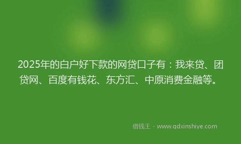 2025年的白户好下款的网贷口子有：我来贷、团贷网、百度有钱花、东方汇、中原消费金融等。