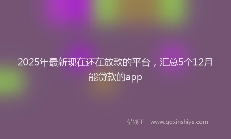 2025年最新现在还在放款的平台，汇总5个12月能贷款的app
