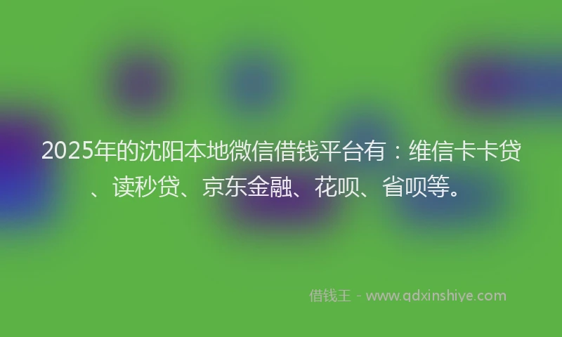 2025年的沈阳本地微信借钱平台有：维信卡卡贷、读秒贷、京东金融、花呗、省呗等。