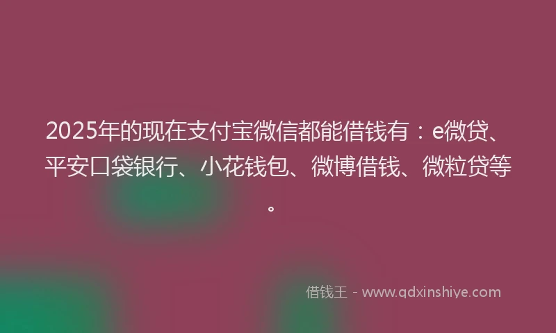 2025年的现在支付宝微信都能借钱有：e微贷、平安口袋银行、小花钱包、微博借钱、微粒贷等。