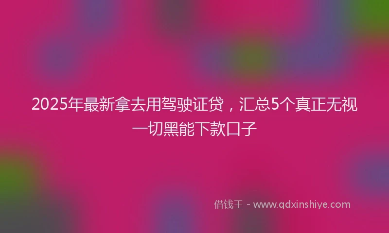 2025年最新拿去用驾驶证贷，汇总5个真正无视一切黑能下款口子