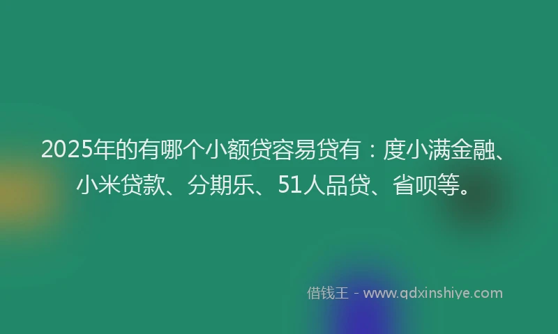 2025年的有哪个小额贷容易贷有：度小满金融、小米贷款、分期乐、51人品贷、省呗等。