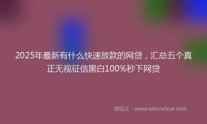 2025年最新有什么快速放款的网贷，汇总五个真正无视征信黑白100%秒下网贷