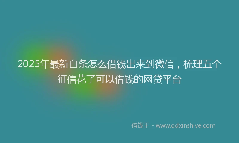 2025年最新白条怎么借钱出来到微信，梳理五个征信花了可以借钱的网贷平台