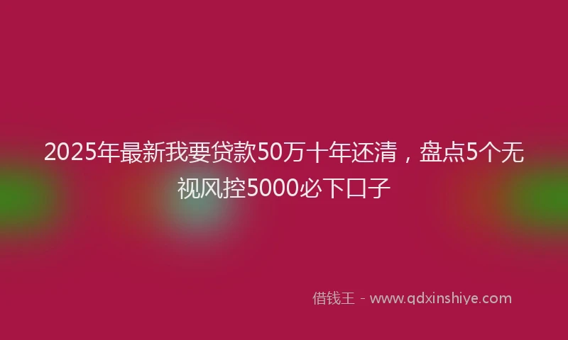2025年最新我要贷款50万十年还清，盘点5个无视风控5000必下口子