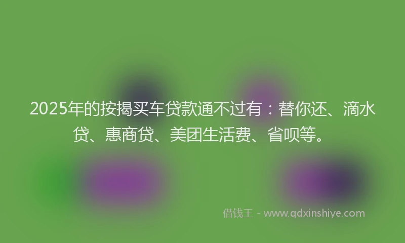 2025年的按揭买车贷款通不过有：替你还、滴水贷、惠商贷、美团生活费、省呗等。