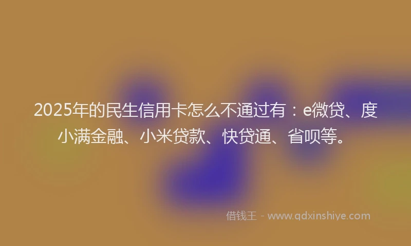 2025年的民生信用卡怎么不通过有：e微贷、度小满金融、小米贷款、快贷通、省呗等。