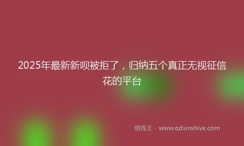2025年最新新呗被拒了，归纳五个真正无视征信花的平台