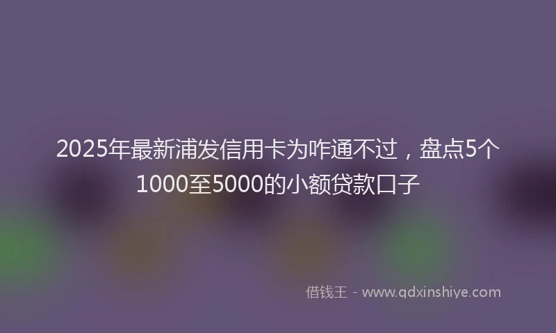2025年最新浦发信用卡为咋通不过，盘点5个1000至5000的小额贷款口子