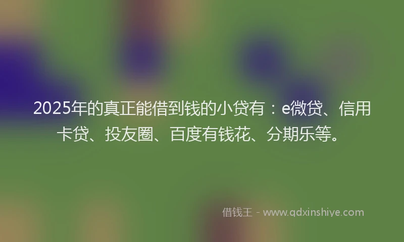 2025年的真正能借到钱的小贷有：e微贷、信用卡贷、投友圈、百度有钱花、分期乐等。