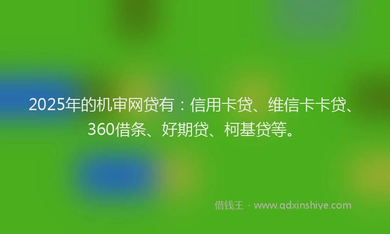 2025年的机审网贷有：信用卡贷、维信卡卡贷、360借条、好期贷、柯基贷等。