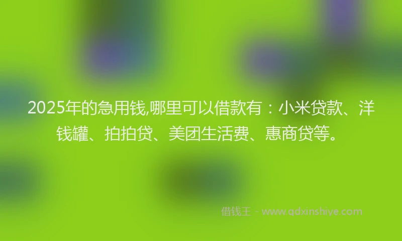 2025年的急用钱,哪里可以借款有：小米贷款、洋钱罐、拍拍贷、美团生活费、惠商贷等。