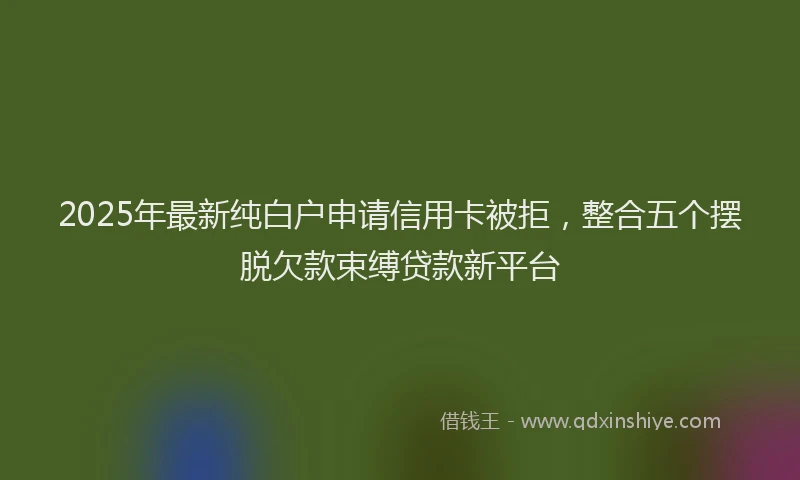 2025年最新纯白户申请信用卡被拒，整合五个摆脱欠款束缚贷款新平台