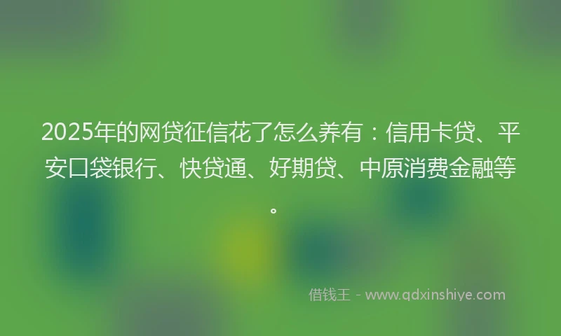 2025年的网贷征信花了怎么养有：信用卡贷、平安口袋银行、快贷通、好期贷、中原消费金融等。