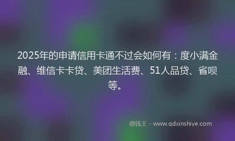 2025年的申请信用卡通不过会如何有：度小满金融、维信卡卡贷、美团生活费、51人品贷、省呗等。