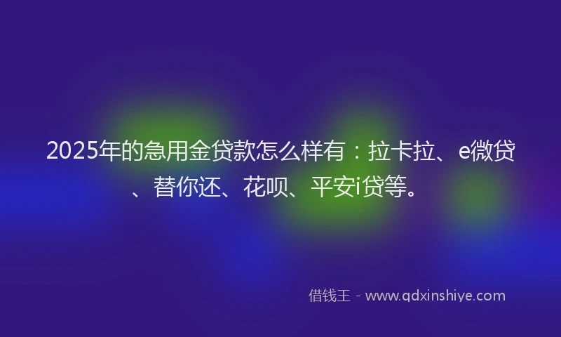2025年的急用金贷款怎么样有：拉卡拉、e微贷、替你还、花呗、平安i贷等。