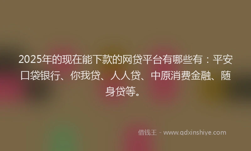 2025年的现在能下款的网贷平台有哪些有：平安口袋银行、你我贷、人人贷、中原消费金融、随身贷等。