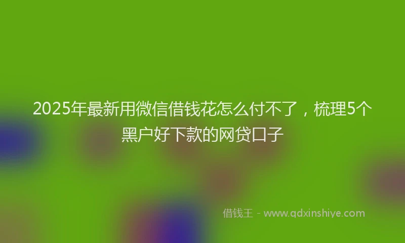 2025年最新用微信借钱花怎么付不了，梳理5个黑户好下款的网贷口子