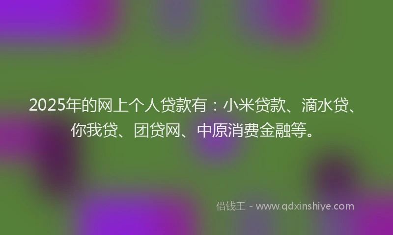 2025年的网上个人贷款有:小米贷款、滴水贷、你我贷、团贷网、中原消费金融等。