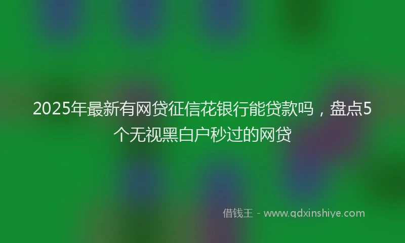 2025年最新有网贷征信花银行能贷款吗，盘点5个无视黑白户秒过的网贷