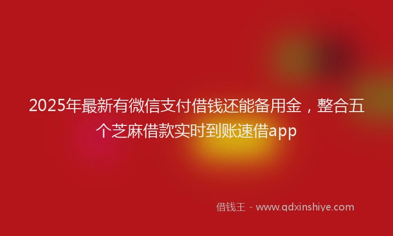 2025年最新有微信支付借钱还能备用金，整合五个芝麻借款实时到账速借app