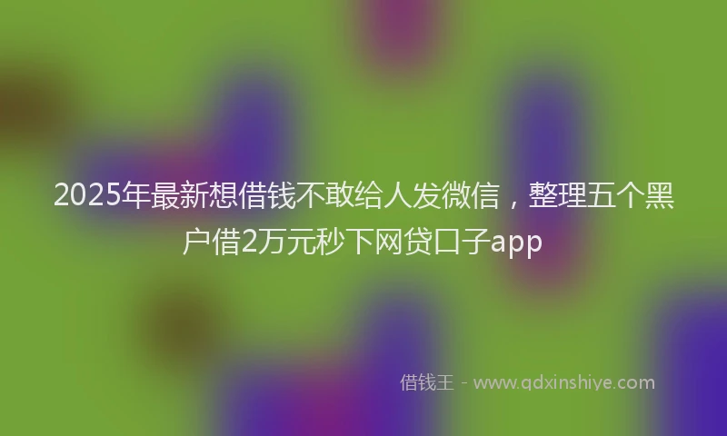 2025年最新想借钱不敢给人发微信，整理五个黑户借2万元秒下网贷口子app