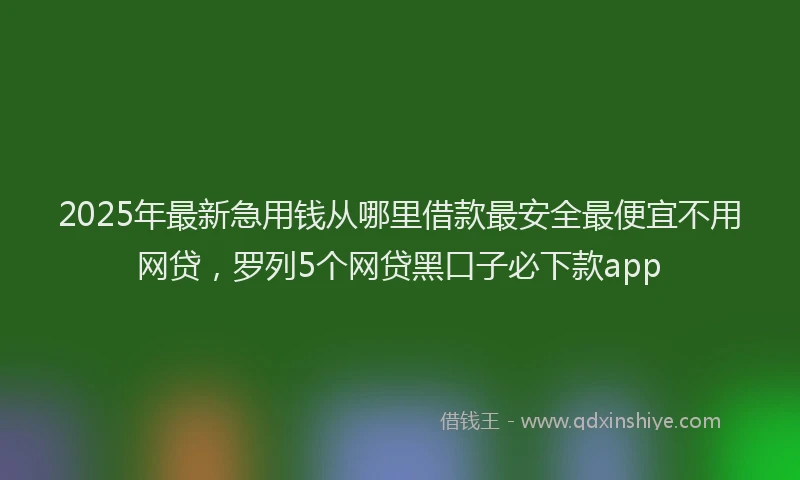 2025年最新急用钱从哪里借款最安全最便宜不用网贷，罗列5个网贷黑口子必下款app