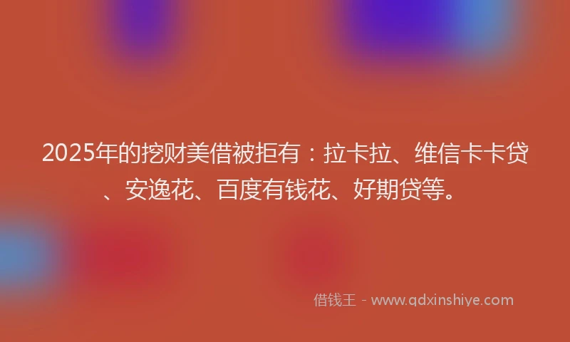 2025年的挖财美借被拒有：拉卡拉、维信卡卡贷、安逸花、百度有钱花、好期贷等。