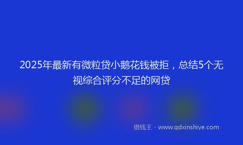 2025年最新有微粒贷小鹅花钱被拒，总结5个无视综合评分不足的网贷