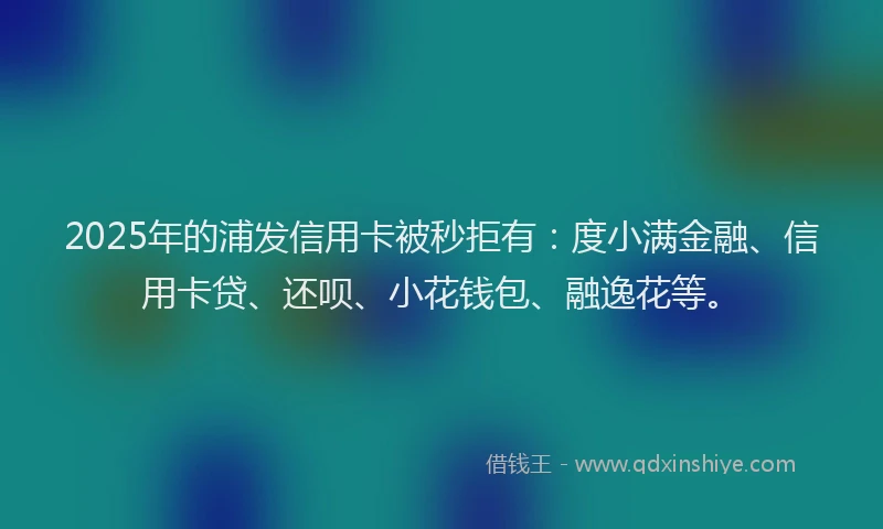 2025年的浦发信用卡被秒拒有：度小满金融、信用卡贷、还呗、小花钱包、融逸花等。