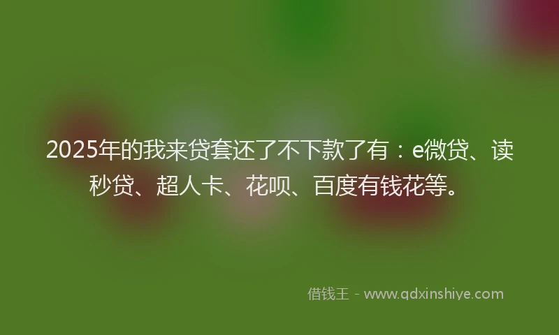 2025年的我来贷套还了不下款了有：e微贷、读秒贷、超人卡、花呗、百度有钱花等。