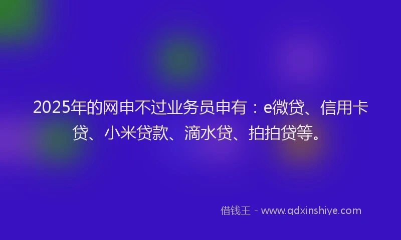 2025年的网申不过业务员申有：e微贷、信用卡贷、小米贷款、滴水贷、拍拍贷等。
