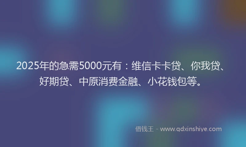 2025年的急需5000元有：维信卡卡贷、你我贷、好期贷、中原消费金融、小花钱包等。