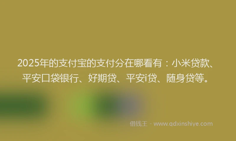 2025年的支付宝的支付分在哪看有：小米贷款、平安口袋银行、好期贷、平安i贷、随身贷等。