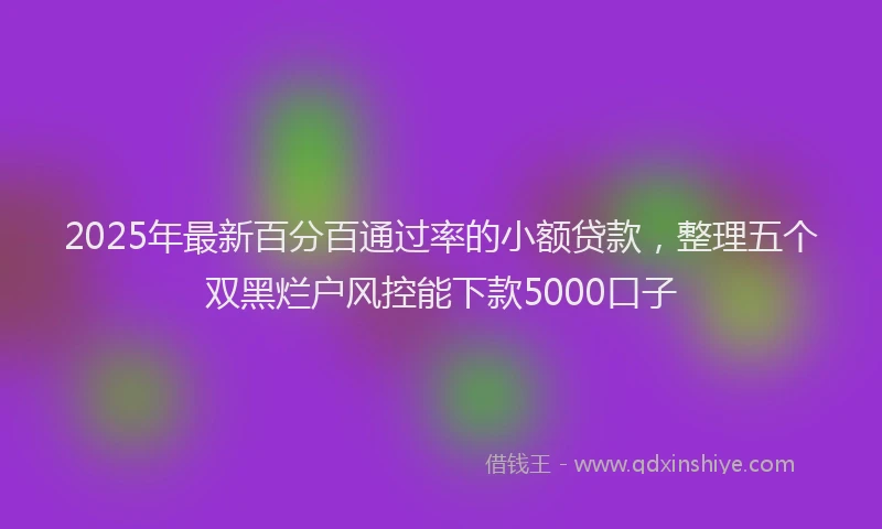 2025年最新百分百通过率的小额贷款，整理五个双黑烂户风控能下款5000口子